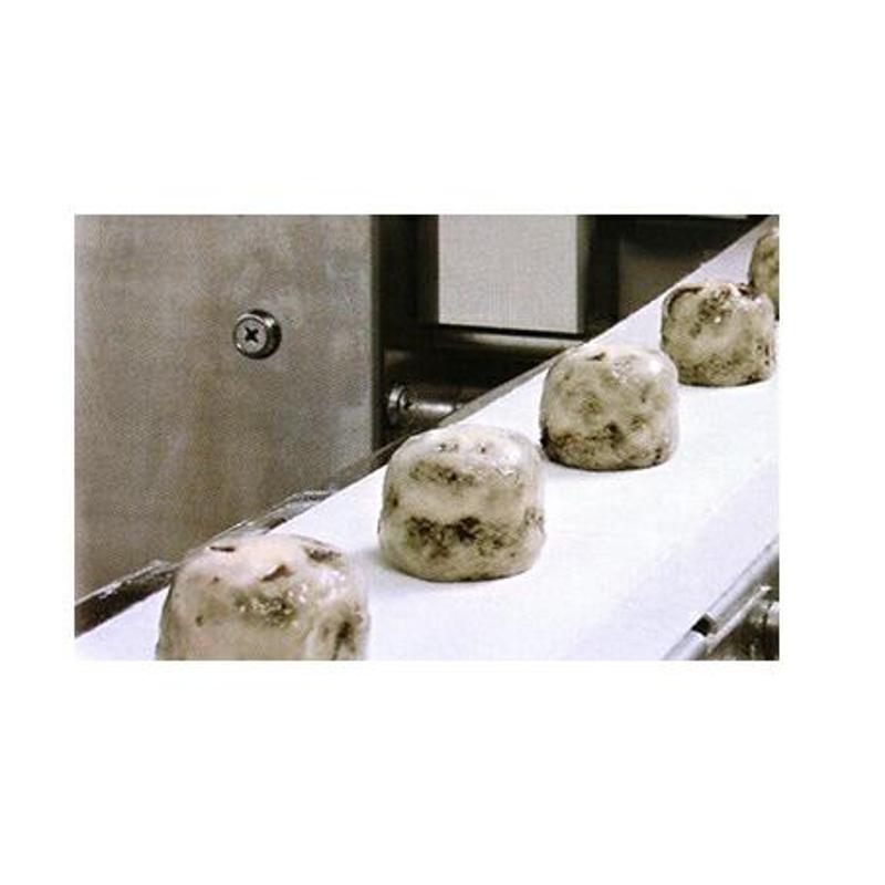 F2100-150-35200 阪东Bando F系列F2100未包装食品输送用输送带
